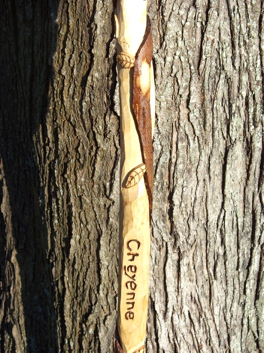 Hand Carved Walking Sticks and canes Wood Carvings 