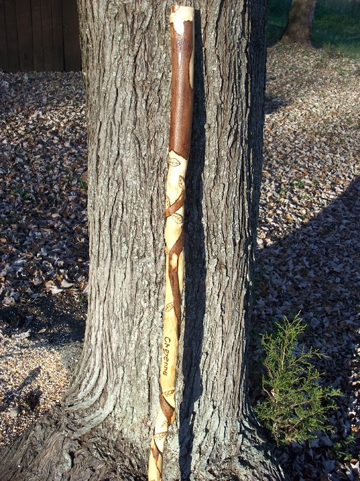 Hand Carved Walking Sticks and canes Wood Carvings 