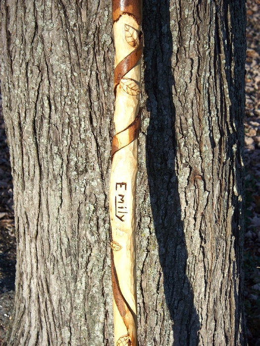 Hand Carved Walking Sticks and canes Wood Carvings 