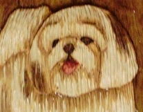 Hand Carved Shih Tzu Puppy sold Wood Carvings 