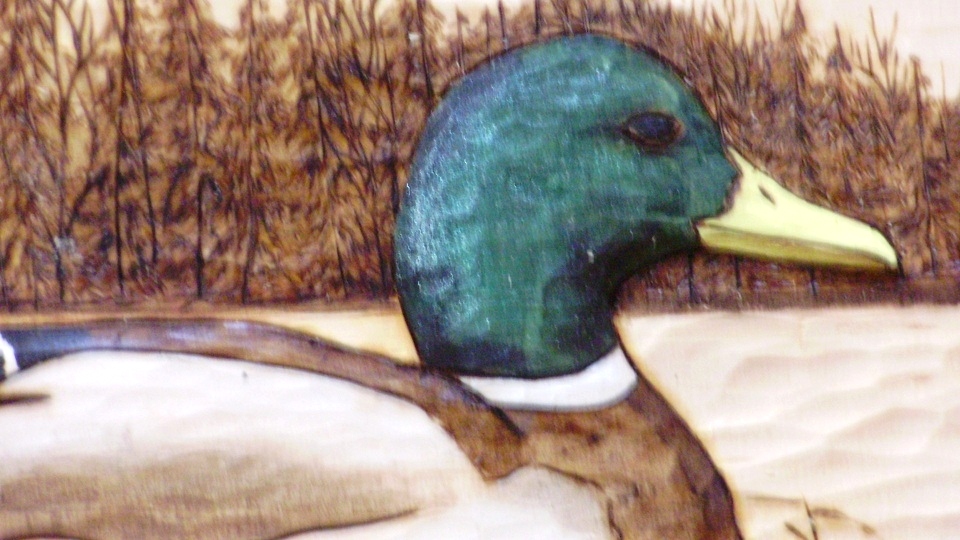 Hand Carved Mallard Relief Wood Carvings 